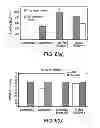 Fig. 06 - Polytetrafluoroethylene co-polymer emulsions
