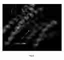 Fig. 06 - Methods for detecting enzyme activity using fluorescence lifetime imaging