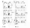 Fig. 04 - NOVEL THERAPY FOR MULTIPLE SCLEROSIS USING VITAMIN D AND GUT BACTERIA