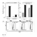 Fig. 06 - NOVEL THERAPY FOR MULTIPLE SCLEROSIS USING VITAMIN D AND GUT BACTERIA