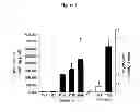 Fig. 02 - COMPOSITIONS AND METHODS FOR THE TREATMENT OF KRABBE AND OTHER NEURODEGENERATIVE DISEASES