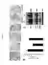 Fig. 06 - COMPOSITIONS AND METHODS FOR THE TREATMENT OF KRABBE AND OTHER NEURODEGENERATIVE DISEASES