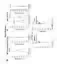 Fig. 20 - COMPOSITIONS AND METHODS FOR THE TREATMENT OF KRABBE AND OTHER NEURODEGENERATIVE DISEASES