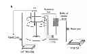 Fig. 01 - Production and purification of recombinant arylsulfatase A