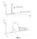 Fig. 04 - Production and purification of recombinant arylsulfatase A