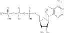 Fig. 09 - Highly concentrated aqueous protein solution with reduced viscosity