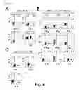 Fig. 07 - Antibody specifically recognizing an epitope for switching to Th2 cell and a method for converting T cell to type 2 helper T cell using the same