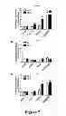 Fig. 09 - Methods Of Treating And Preventing Glucose Toxicity