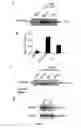 Fig. 04 - METHOD OF TREATING RHEUMATOID ARTHRITIS