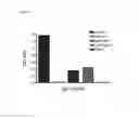 Fig. 11 - RSV-specific binding molecules and means for producing them