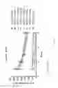 Fig. 07 - Antibodies that specifically bind alpha toxin and methods of use