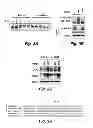 Fig. 07 - NOVEL TARGETS FOR TREATMENT OF HYPERCHOLESTEROLEMIA