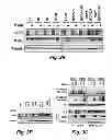 Fig. 08 - NOVEL TARGETS FOR TREATMENT OF HYPERCHOLESTEROLEMIA