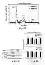 Fig. 10 - NOVEL TARGETS FOR TREATMENT OF HYPERCHOLESTEROLEMIA