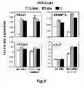 Fig. 12 - NOVEL TARGETS FOR TREATMENT OF HYPERCHOLESTEROLEMIA