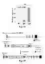 Fig. 22 - NOVEL TARGETS FOR TREATMENT OF HYPERCHOLESTEROLEMIA