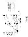 Fig. 20 - METHODS FOR TREATING ATOPIC DERMATITIS BY ADMINISTERING AN IL-4R ANTAGONIST