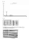 Fig. 03 - Method of preparing antigen for acquiring anti-hydrophobic peptide antibody