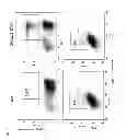 Fig. 02 - Method for suppressing an immune response