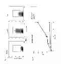 Fig. 06 - Method for suppressing an immune response