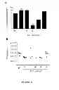 Fig. 06 - Gene expression and eradication system in 