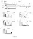 Fig. 09 - Gene expression and eradication system in 