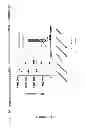 Fig. 22 - Gene expression and eradication system in 