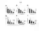 Fig. 02 - Transport of cells in hydrogels