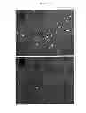 Fig. 06 - Transport of cells in hydrogels