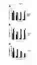 Fig. 08 - Transport of cells in hydrogels