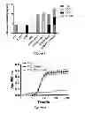 Fig. 02 - Micelle encapsulation of a combination of therapeutic agents