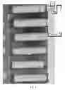 Fig. 07 - Rolled collagen carrier