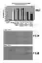 Fig. 02 - METHOD  FOR PREVENTING OR SLOWING DOWN THE APPEARANCE OF THE EFFECTS OF SKIN AGEING USING A TOCOPHERYL PHOSPHATE IN LIPOSOMES