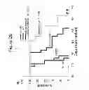 Fig. 04 - COMBINATION THERAPY WITH NANOPARTICLE COMPOSITIONS OF TAXANE AND HEDGEHOG INHIBITORS