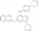Fig. 37 - COMBINATION THERAPY WITH NANOPARTICLE COMPOSITIONS OF TAXANE AND HEDGEHOG INHIBITORS
