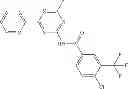 Fig. 481 - COMBINATION THERAPY WITH NANOPARTICLE COMPOSITIONS OF TAXANE AND HEDGEHOG INHIBITORS