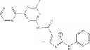 Fig. 602 - COMBINATION THERAPY WITH NANOPARTICLE COMPOSITIONS OF TAXANE AND HEDGEHOG INHIBITORS