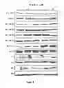 Fig. 02 - COMBINATIONS AND MODES OF ADMINISTRATION OF THERAPEUTIC AGENTS AND COMBINATION THERAPY