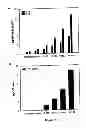 Fig. 04 - COMBINATIONS AND MODES OF ADMINISTRATION OF THERAPEUTIC AGENTS AND COMBINATION THERAPY
