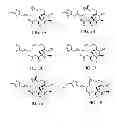Fig. 69 - POLYMER-EPOTHILONE CONJUGATES, PARTICLES, COMPOSITIONS AND RELATED METHODS OF USE