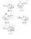 Fig. 71 - POLYMER-EPOTHILONE CONJUGATES, PARTICLES, COMPOSITIONS AND RELATED METHODS OF USE