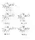 Fig. 74 - POLYMER-EPOTHILONE CONJUGATES, PARTICLES, COMPOSITIONS AND RELATED METHODS OF USE