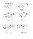 Fig. 76 - POLYMER-EPOTHILONE CONJUGATES, PARTICLES, COMPOSITIONS AND RELATED METHODS OF USE