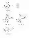 Fig. 78 - POLYMER-EPOTHILONE CONJUGATES, PARTICLES, COMPOSITIONS AND RELATED METHODS OF USE