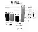 Fig. 09 - Antioxidant Composition