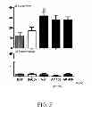 Fig. 06 - Andrographis Paniculata Compositions and Methods for Treatment of Addictions