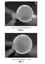 Fig. 07 - HYDROCOLLOID STABILIZED DEHYDRATED FOOD FOAM