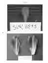 Fig. 02 - Lettuce line PS 06518893