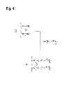 Fig. 04 - Electrode and method for manufacturing an electrode