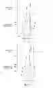 Fig. 06 - Spin coating apparatus and method